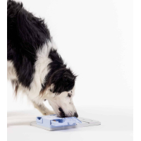 Individuele Pawzler: Bunny